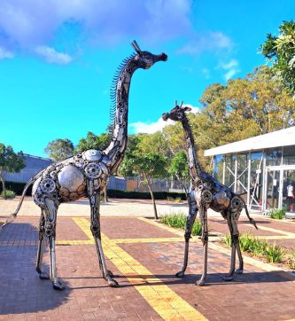 Two steel giraffe sculptures outside DHL Stadium